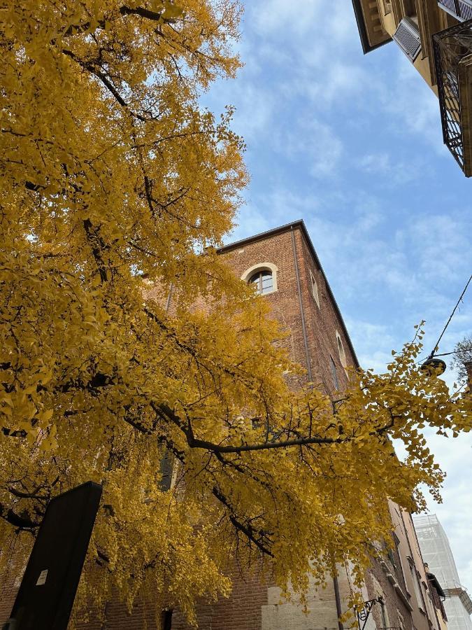 Apartment Domus Largo Pescheria Verona
